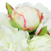 Pfingstrose Bund Weiß / Rosa 27cm 6St