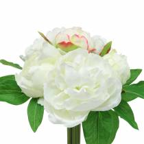 Pfingstrose Bund Weiß / Rosa 27cm 6St