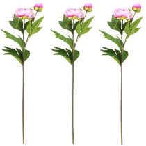Artikel Pfingstrosen Langstielige Künstliche Blumen Pink 70cm 3St - Dekoration & Event Floral