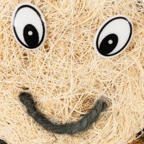 Artikel Bienenfigur aus Naturmaterialien 24cm - Nachhaltige Deko im 2er-Set