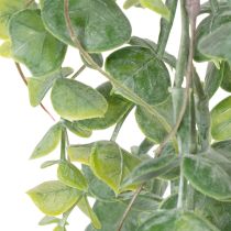 Artikel Kunststoff Eukalyptus Girlande 92cm Innen- und Außendekoration