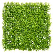 Artikel Kunststoff Buchsbaum Matte 55x55 cm grün für Wandgestaltung
