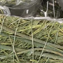 Artikel Pflanzherz Naturmaterial mit Folieneinsatz 22cm Grün 2 Stück