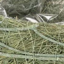 Artikel Herzschale Pflanzgefäß Naturgras mit Folie 38cm Grün