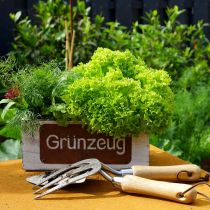 Artikel Pflanzkasten “Grünzeug”, Übertopf, Gartendeko aus Holz Weiß gewaschen, Edelrost L35cm H12cm