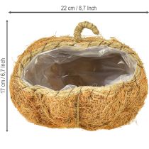 Artikel Pflanzkorb Kürbis Herbst Deko Orange Ø22cm H17cm