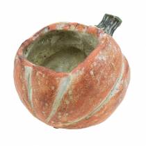 Kürbis zum Bepflanzen Orange 19×15×16cm