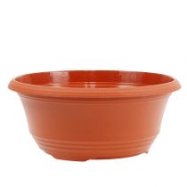 Pflanzschale Plastik Ø23cm H10cm, 1St