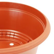 Pflanzschale Plastik Ø23cm H10cm, 1St