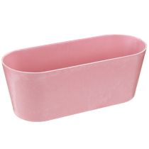 Artikel Pflanzschiffchen Pflanzschale Rosa 27×11×10cm 3er-Set Deko Blumenschale