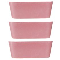 Artikel Pflanzschiffchen Pflanzschale Rosa 27×11×10cm 3er-Set Deko Blumenschale
