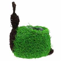 Artikel Pflanzgefäß Schnecke Rebe Natur, Grün 21x14cm H26cm