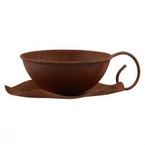 Artikel Pflanztasse mit Untertasse Vintage Rost Ø17,5cm H6cm