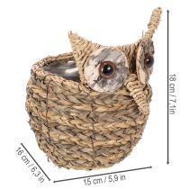 Artikel Korb Deko Eule handgeflochten 18cm Wasserhyazinthe naturfarben Innenbereich