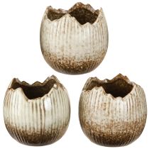 Artikel Pflanztopf Keramik Ei Creme Braun 9,5cm 3er Set Deko Blumentopf