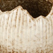Artikel Pflanztopf Keramik Ei Creme Braun 9,5cm 3er Set Deko Blumentopf