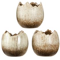 Artikel Pflanztopf Keramik Ei Creme Braun 9,5cm 3er Set Deko Blumentopf