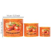 Artikel Tomaten Pflanztöpfe Set aus Keramik in 3 Größen – Dekorative Blumentöpfe für Kräuter und Trockenblumen