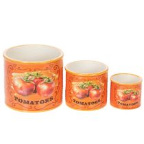Artikel Tomaten Pflanztöpfe Set aus Keramik in 3 Größen – Dekorative Blumentöpfe für Kräuter und Trockenblumen