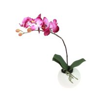 Artikel Künstliche Orchideen im Topf Phalaenopsis Kunstblumen Orchideen Pink 34cm