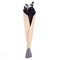 Artikel Phalaris Violett Getrocknetes Deko Gras 50-55cm 100g