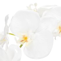 Artikel Elegante Kunstpflanze Orchidee Weiß im Topf 62cm – Realistische Dekoration für Büro und Wohnzimmer