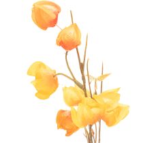 Artikel Lampionblume künstlich Physalis-Zweig 95cm Orange Innenbereich
