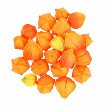 Artikel Physalis Orange Sortiert 22St Deko-Blütenkelche künstlich