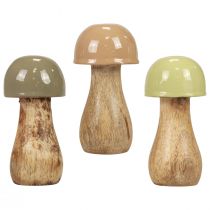 Artikel Holzpilze Deko Pilze Holz Beige, Grün Ø5cm H10,5cm 6St