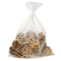 Artikel Pineazapfen creme gemischt 5-18cm 25St