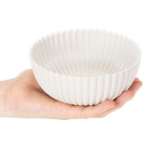 Artikel Runde Kunststoffschale Weiß mit geriffelter Oberfläche Ø 15 cm 2 Stück