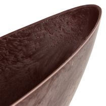 Pflanzschale Bordeaux 39cm x 12cm H13cm 1St