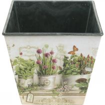 Artikel Kräutertopf, Übertopf mit Motiv, Pflanzgefäß H13cm B13,5cm