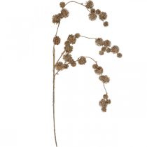 Dekozweig, Platane mit Früchten, Herbstdeko, künstliche Platane Braun L82cm Ø2–4cm