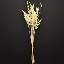 Artikel Plattährengras Chasmantium Champagner 70cm 10 St Elegantes Dekorationselement