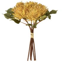 Artikel Protea künstlich Leucospermum Nadelkissen Gelb 30cm, 6 St, Dekoblumen
