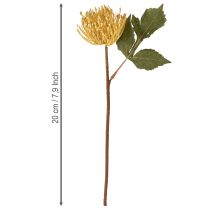 Artikel Protea künstlich Leucospermum Nadelkissen Gelb 30cm, 6 St, Dekoblumen