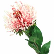 Protea Künstlich Rosa 73cm