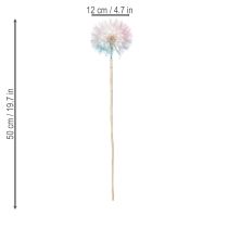 Artikel Pusteblume Trockenblume 50 cm im 4er-Set für stilvolle und langlebige Dekoration