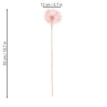 Artikel Trockenblumen Deko Pusteblume Rosa Zweig 50cm 4 Stück