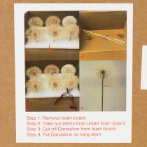 Artikel Trockenblumen Wiesenbocksbart Deko-Kugel 12 cm Innenraumgestaltung 4er-Set