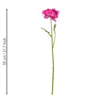 Artikel Ranunkel Kunstblume 55 cm Rosa 6 Stück – Detailgetreue Nachbildung für Dekoration