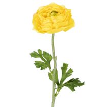 Artikel Künstliche Ranunkel Dekoblume 51cm in Gelb Grün Detailgetreu Pflegeleicht 3er Set