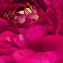 Artikel Künstliche Ranunkel 51cm Pink im 3er-Set für vielseitige Raum- und Eventdekoration