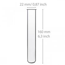 Reagenzglas 160mm × 22mm