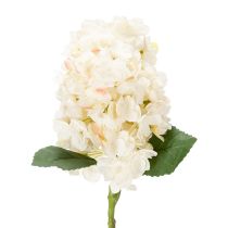 Artikel Kunstblume Hortensie Weiß 62cm - Naturgetreue Dekoration für Elegante Wohn- und Geschäftsräume