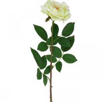 Artikel Rose künstlich, Deko-Rose, Seidenblume Cremeweiß, Grün L72cm Ø12cm
