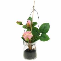 Artikel Rose im Glas Rosa H23cm