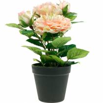 Artikel Deko-Rose im Topf, Romantische Seidenblumen, Rosa Pfingstrose