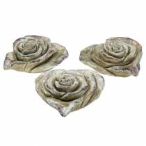 Beton-Rosen-Herz Grau, Violett Ø13 H5cm 3St